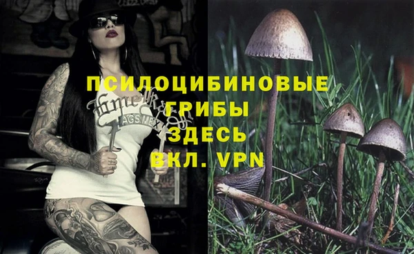 мдпв Балабаново