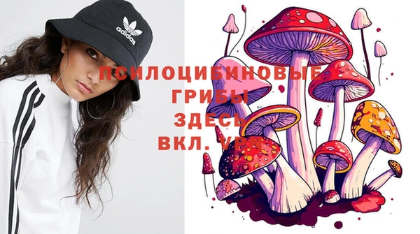 мдпв Балабаново