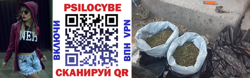 OMG зеркало  Курчатов  Галлюциногенные грибы MAGIC MUSHROOMS 